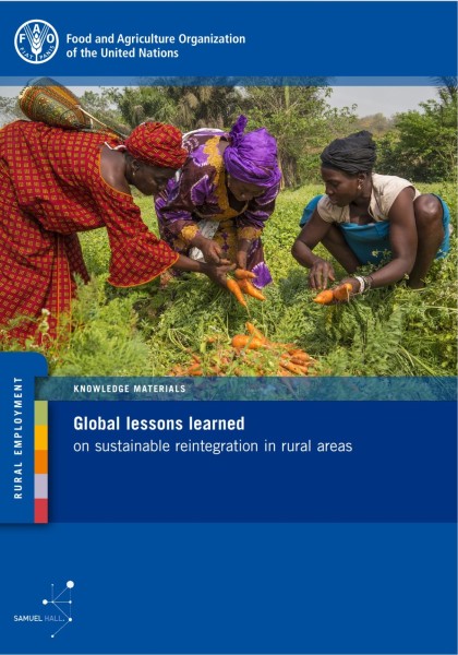 Global lessons learned on sustainable reintegration in rural areas