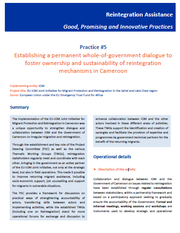 Reintegration good practices #5 - Establishing a permanent whole-of-government dialogue to foster ownership and sustainability of reintegration mechanisms in Cameroon