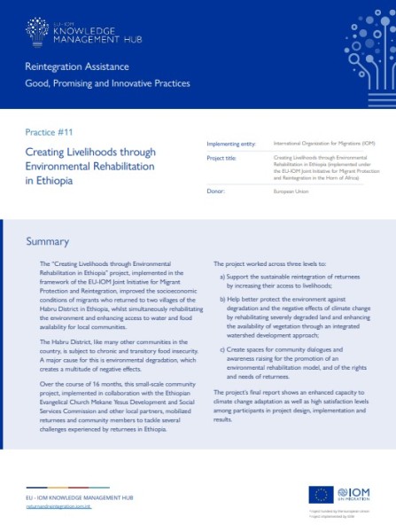 Reintegration Assistance: Good, Promising and Innovative Practices Series. Knowledge Management Hub releasing 11th factsheet