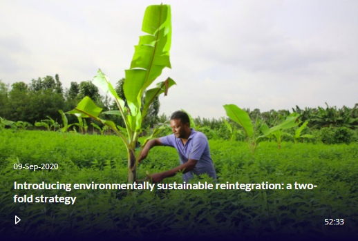 Introducing environmentally sustainable reintegration: a two-fold strategy
