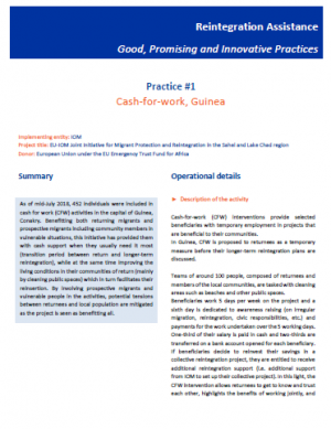 Reintegration good practices #1 - Cash-for-work, Guinea