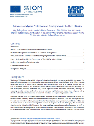 2023, IOM, Evidence on Migrant Protection and Reintegration in the Horn of Africa