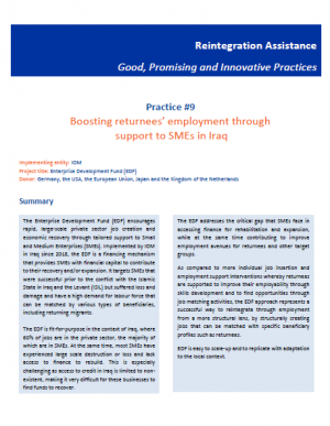 Reintegration good practices #9 - Boosting returnees’ employment through support to SMEs in Iraq